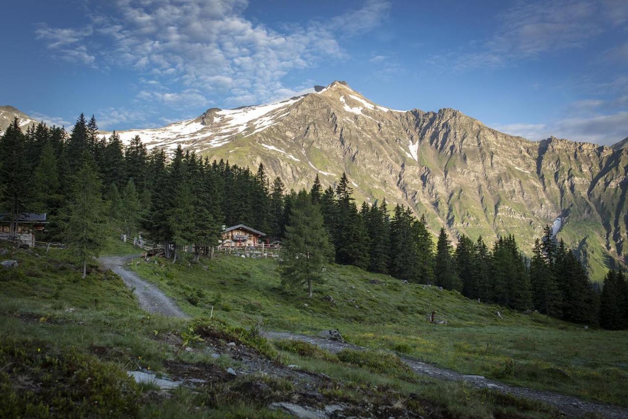 M1 - Mountain Living Lejlighed Rauris Eksteriør billede